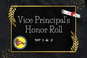  VP